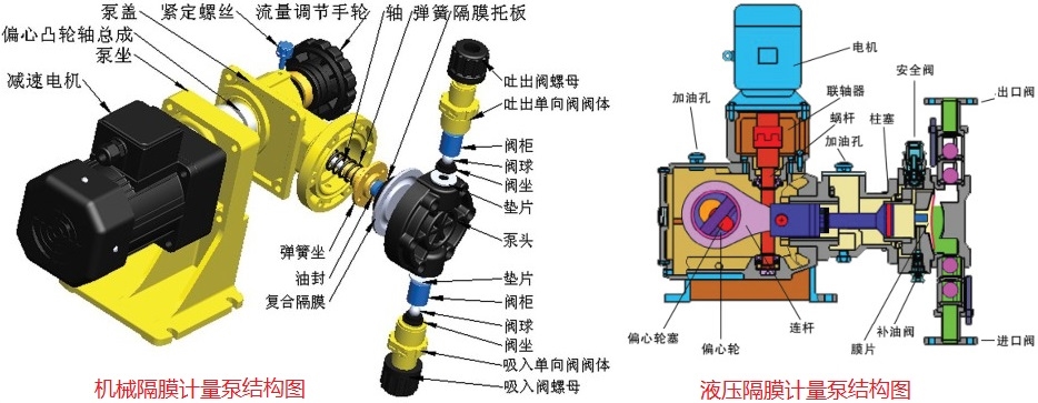 計量泵的結構圖